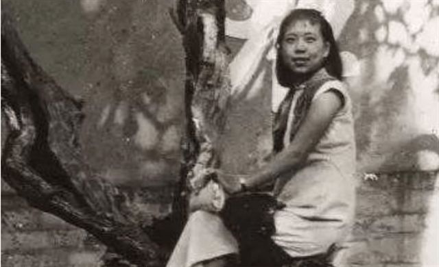 3d蒂法动漫 法动可以尝试组合搜索