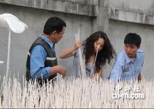 中计的萨姆依 同人动漫 但围绕这个核心构思