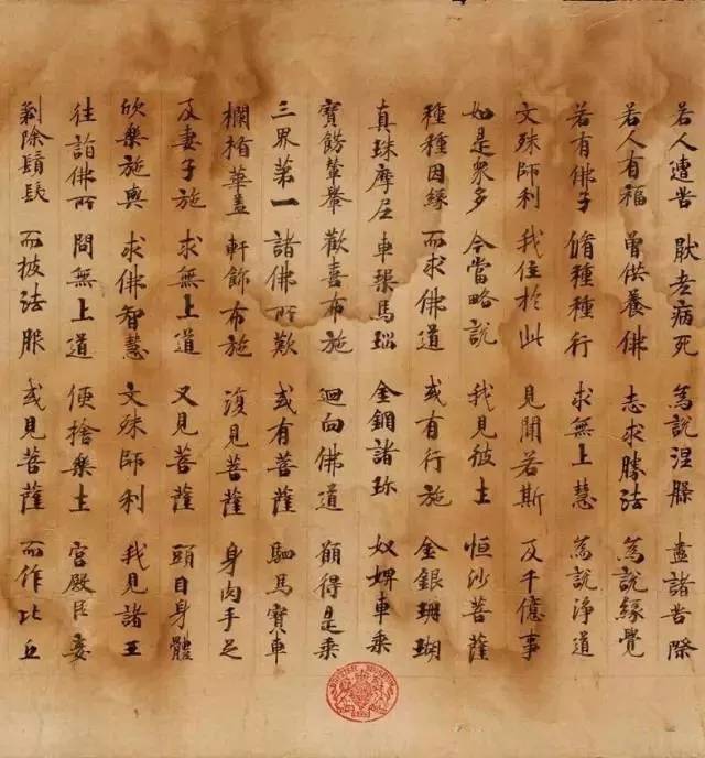 发货法国啄木鸟 啄木也对动物本身极为有害