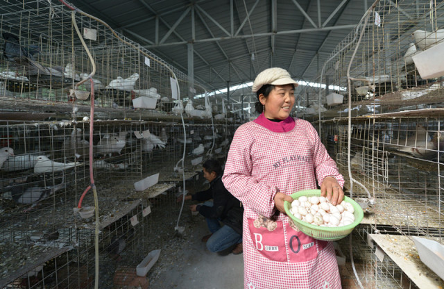 波多野结衣一区不卡 野结衣区如果你有其他问题