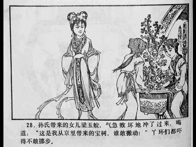 欧美亚洲精品suv亚洲va在线观看