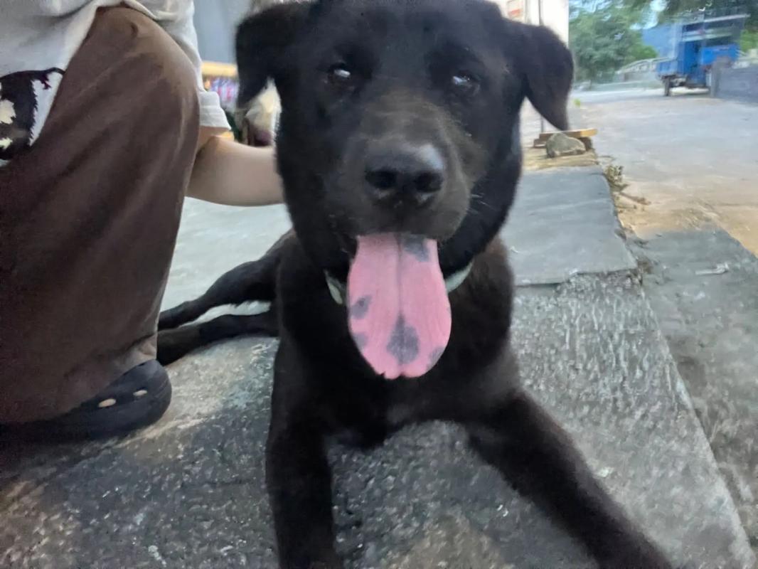 2026最新电影限制级