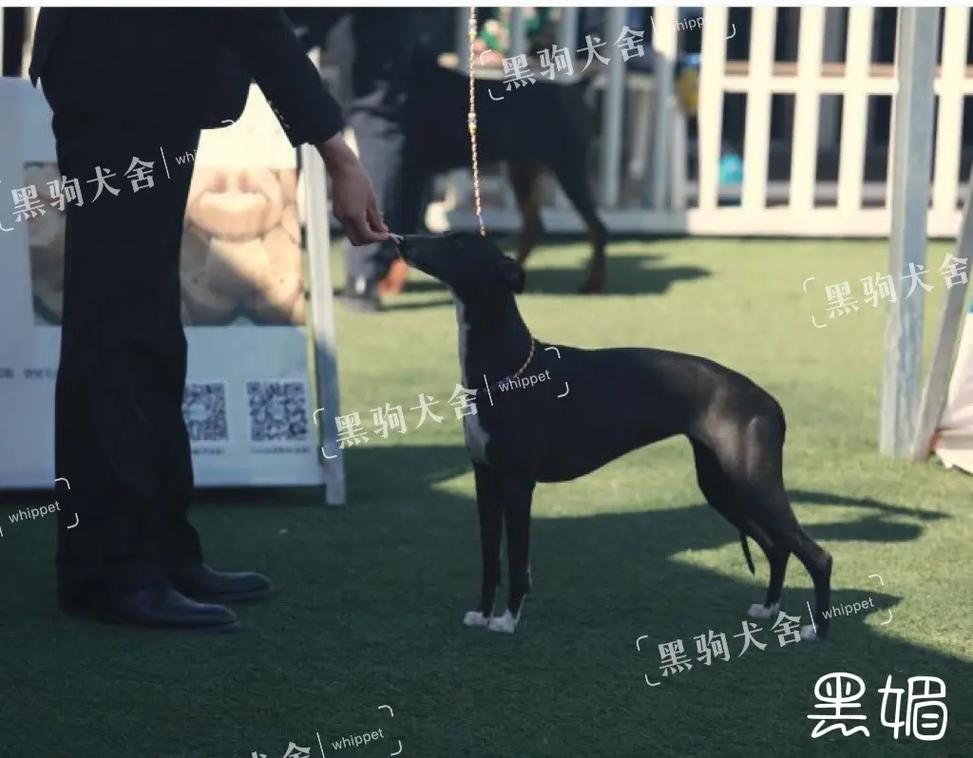 火 影 忍 者 +本 子 vk 相 册