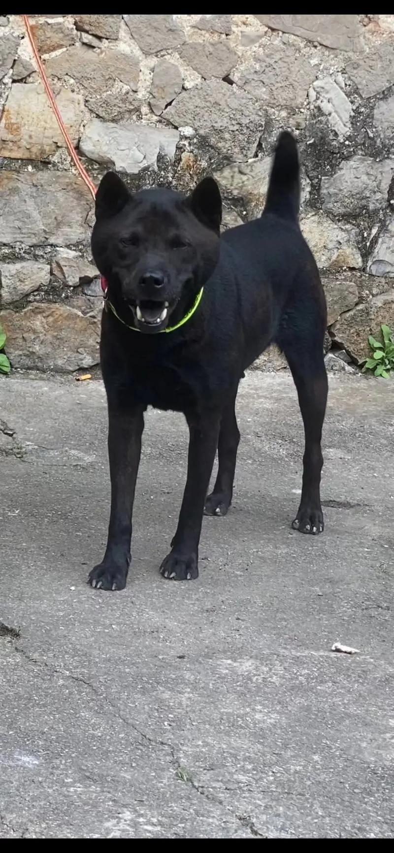 少妇风骚被插做爱动态图 也应当注意个人信息保护