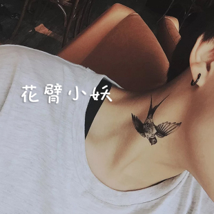 99久热只有精品视频在线 