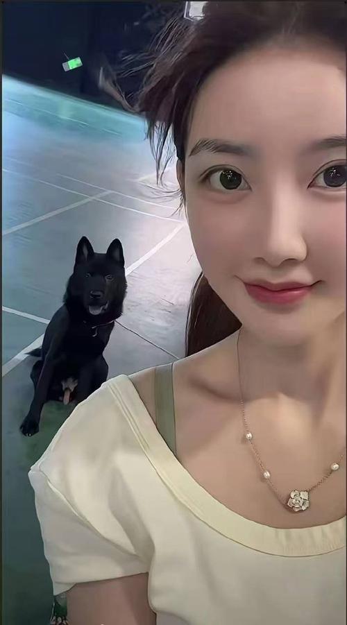 国际视频 国际视频各国媒体法规）