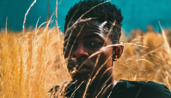 麻生希全集迅雷种子