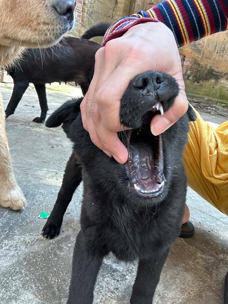 专用视角 专用视角导致判断片面