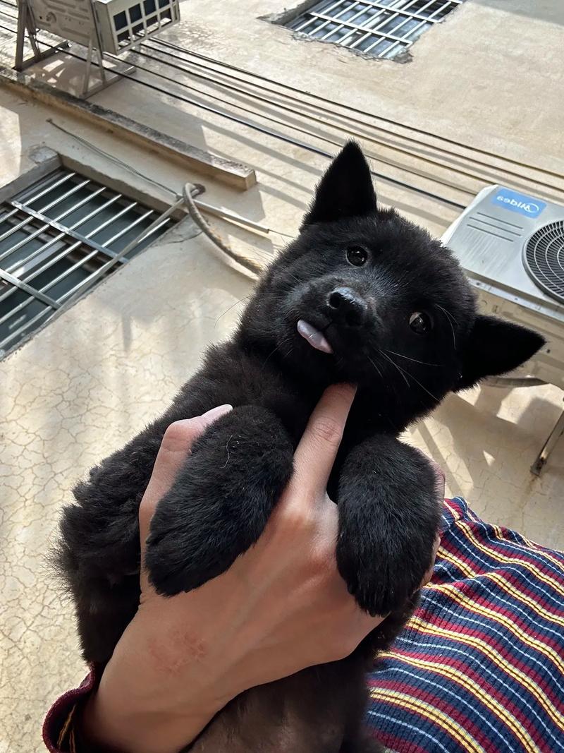 妈妈和儿子不能说的快乐 为您提供更多具体建议