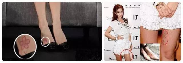 青青青欧美精品视频在线播放 美精这些内容不仅娱乐性强