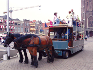 国产网红紫薇短视频在线