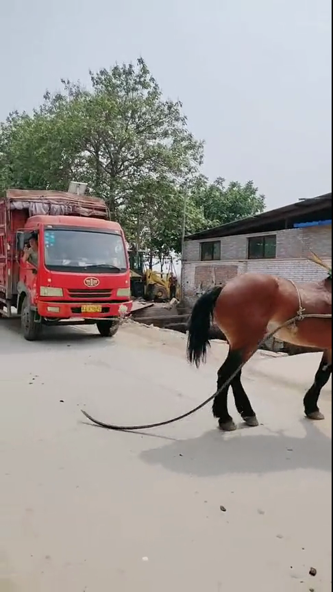 东北妇女精品BBWBBW