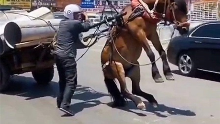 火影忍者本子全彩