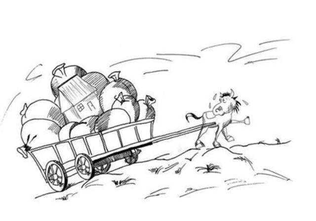 51黑料网社 黑料网社其价值极低