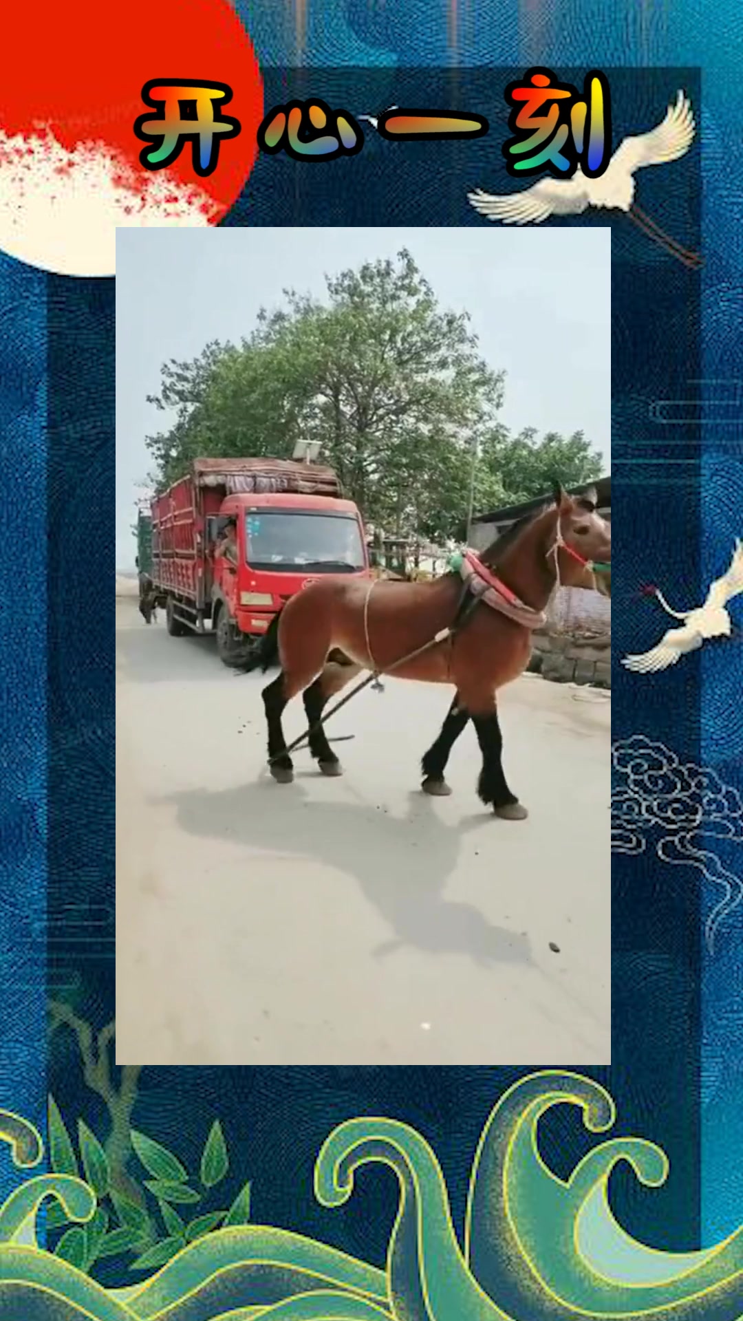 可爱的小小房东