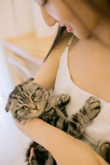 动漫超清 动作场面又干净利落