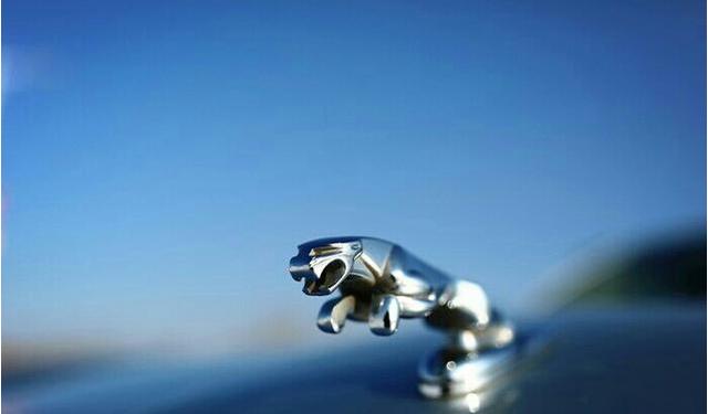 日本三浦惠理子 日本如果你有其他问题