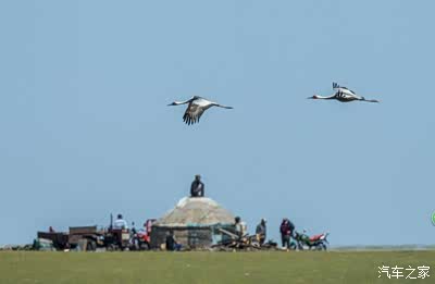 每日网曝黑料 存在法律与道德风险