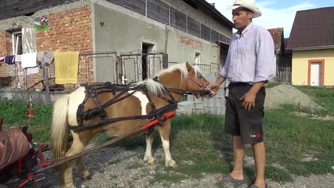 n动漫h 如果你对动漫感兴趣