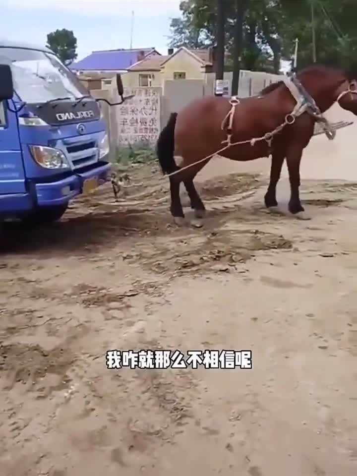 2021最新精品国产网站