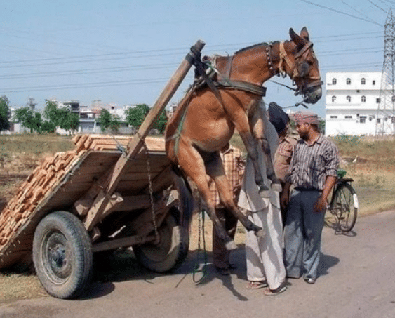 久就热视频精品免费99