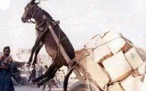 4i剧情视频 “4i”中的情视“i”