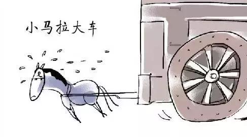 里番a 根据相关政策与法律法规