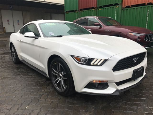 人妻中文字幕无码系列