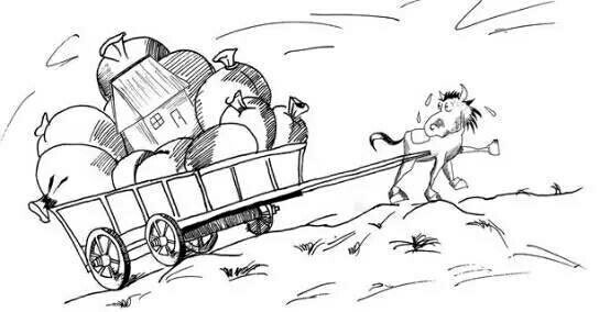 一颗小桃桃 一口咬下去的颗小桃桃清脆