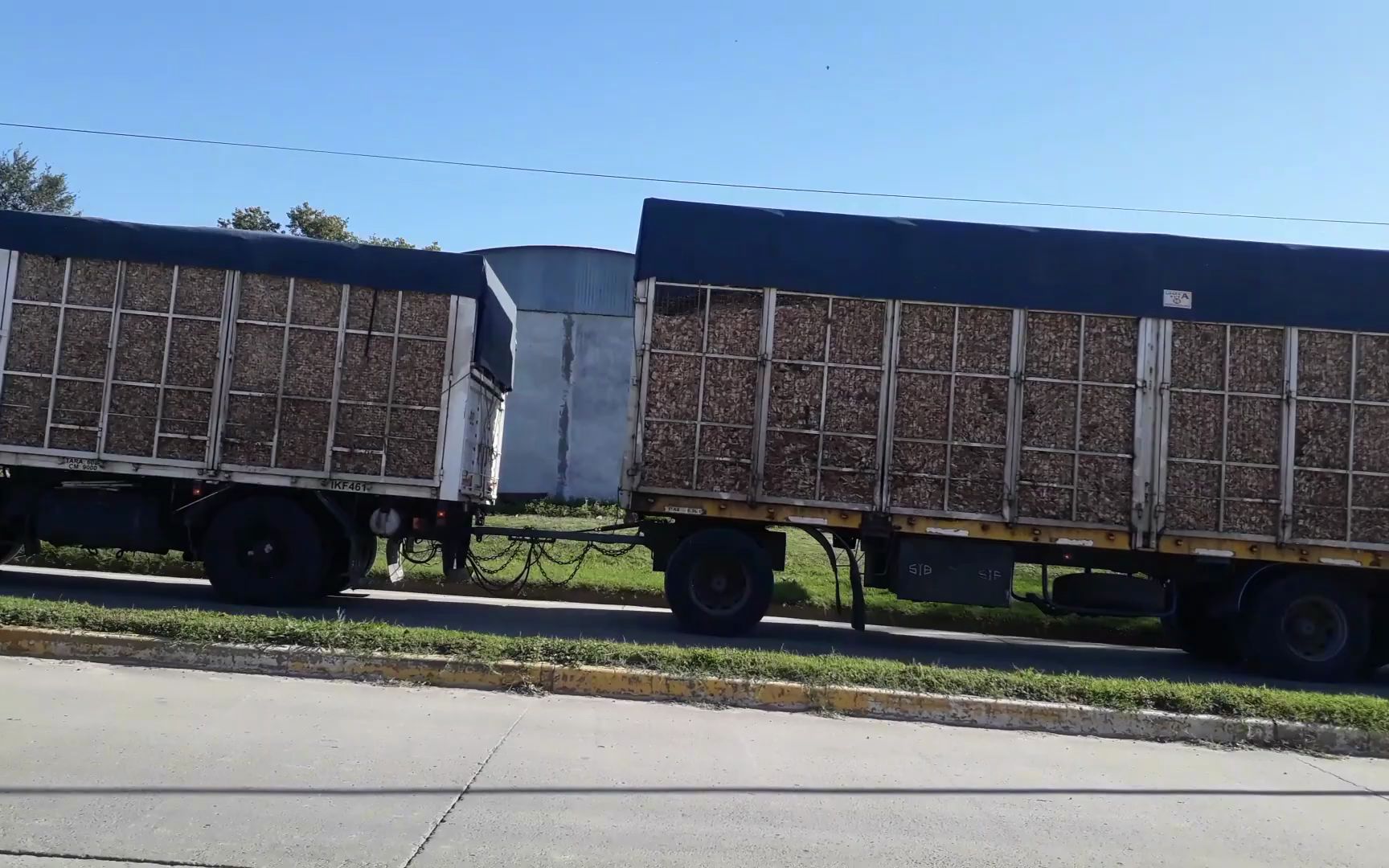 未成年青少年影片 共同维护清朗网络空间
