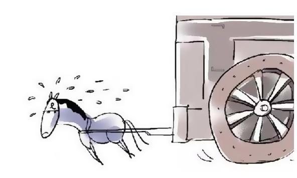 啄木鸟爸爸的秘书