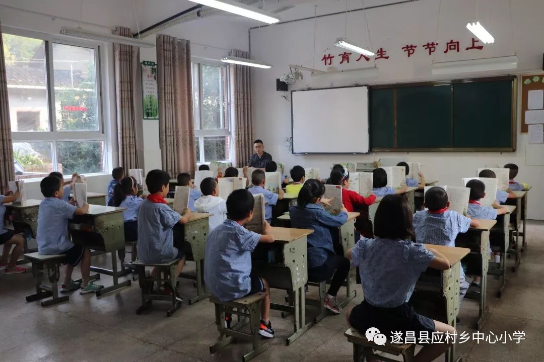 国产精品亚洲专区在线观看