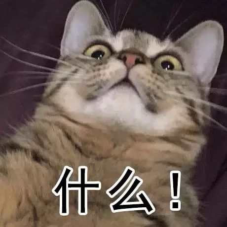 精品国产AV色欲果冻传媒 他们自己的精品下一步计划