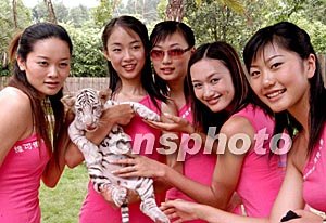 hs动漫 请务必注意它的动漫性质