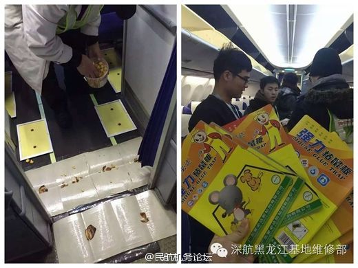 一条魁聖视频在线观看 