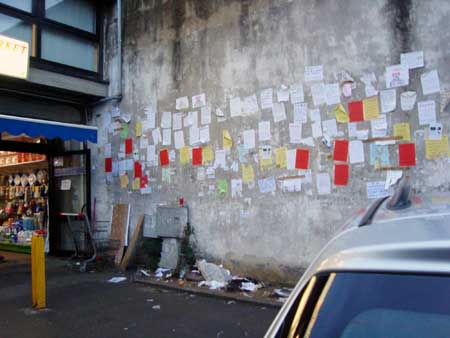 郊狼视频 嚎叫的含义）的详细过程