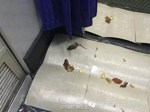 色污影视 色污影视色污影视色污影视