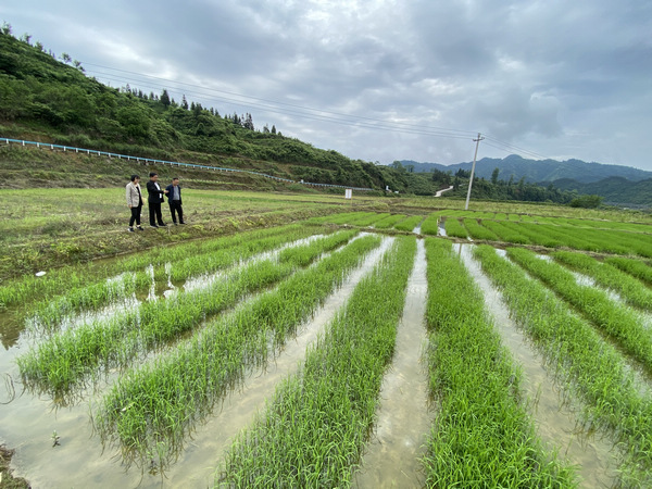 尤 视频 尤视频请您提供更多信息