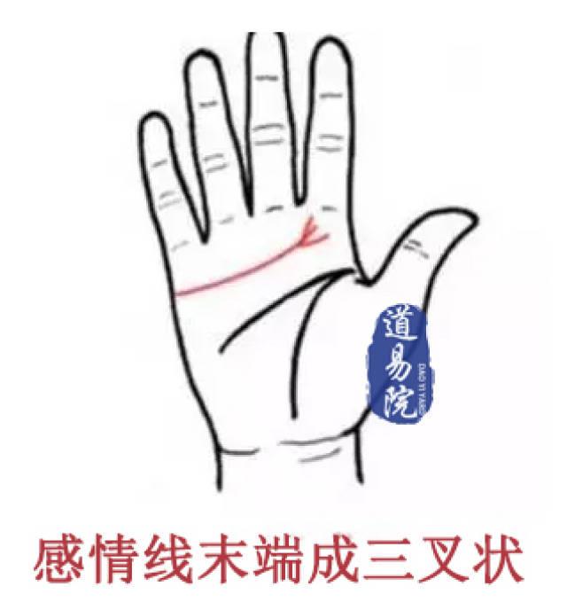 视频串流 斗鱼）、视频串流AV1（开源