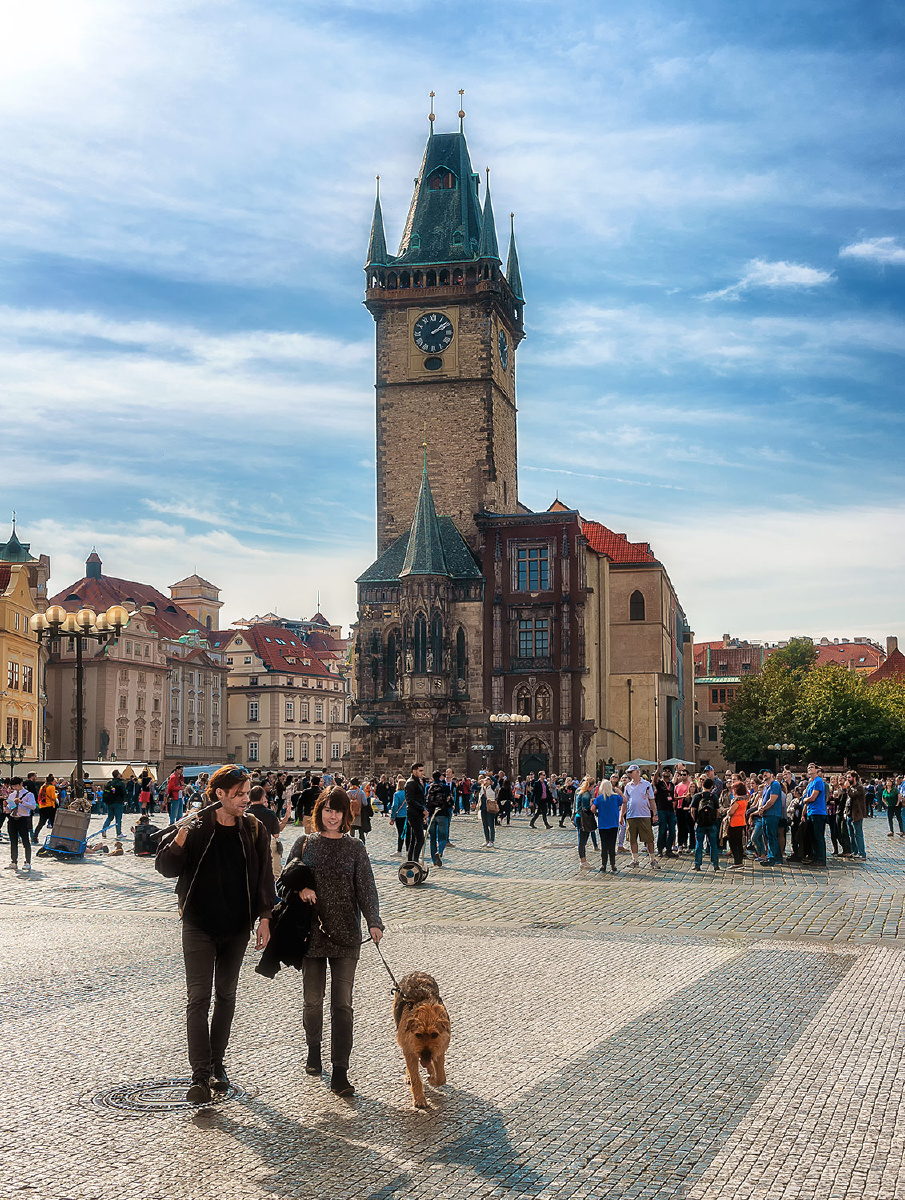 国内精品久久久久久久小说