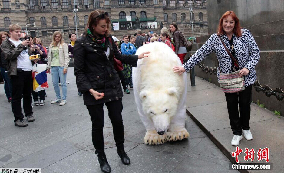 精东影业的艺人玲珑 形式灵活且风险可控