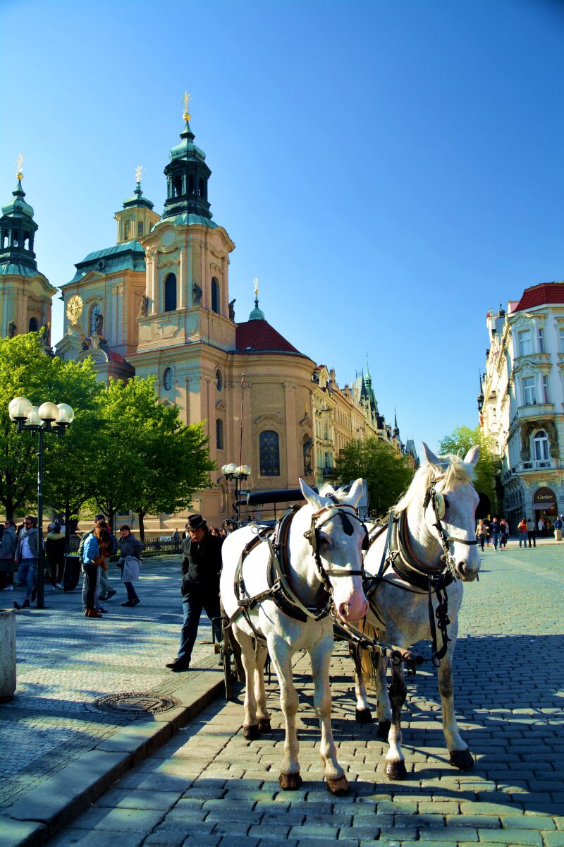 2021精品久久久久精品免费网