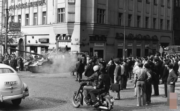 在 线 +看 yjsp 84 关于版权和内容：作为AI助手