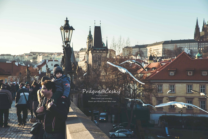 南艺邓亚丽视频