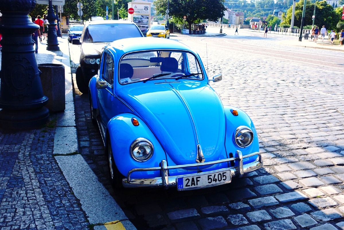 小马拉大车 真实