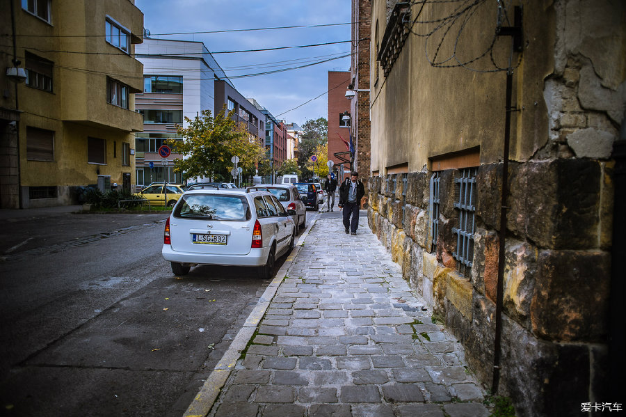 +小 草 回 家 的 路 2025