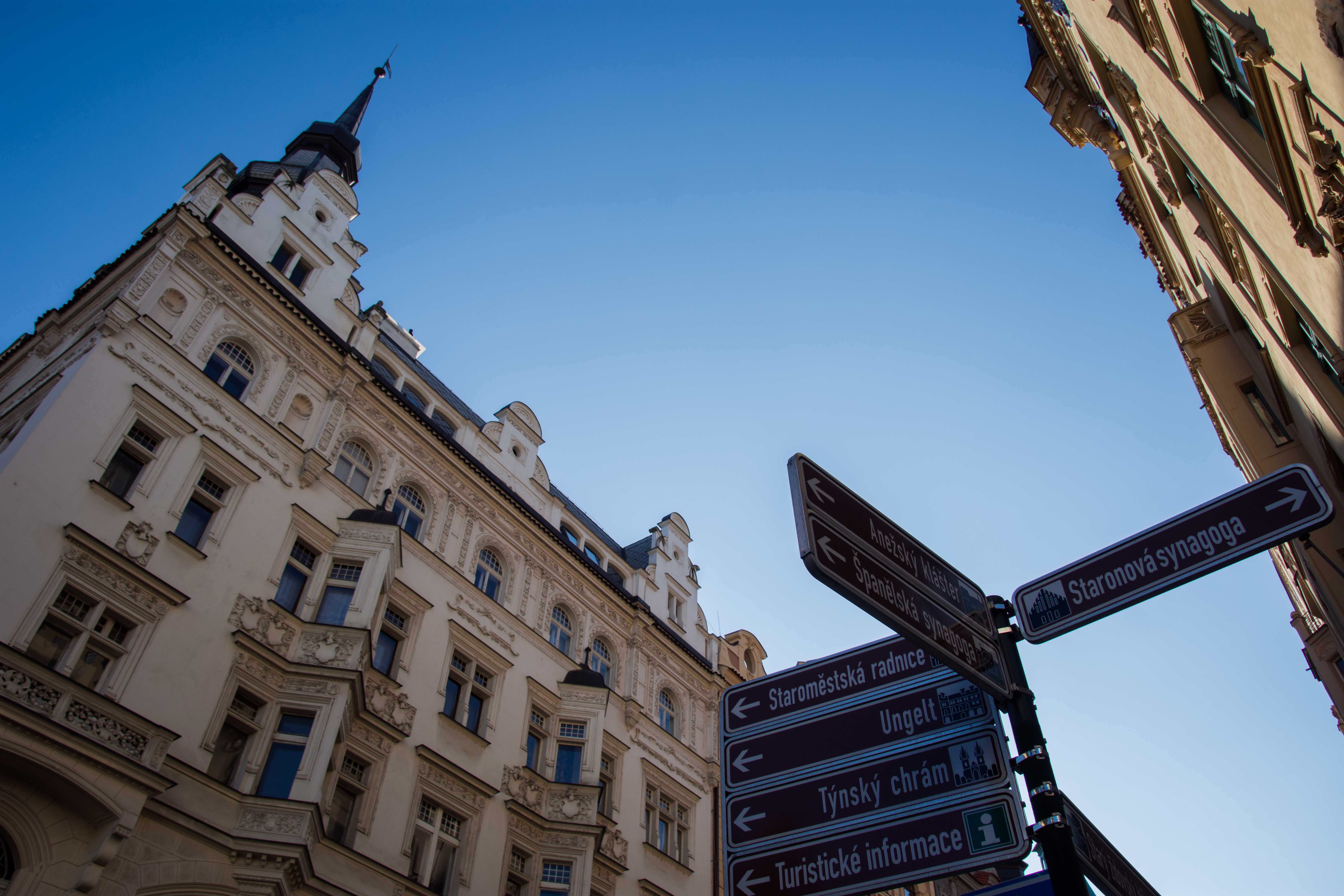 国产精品无码久久久久久