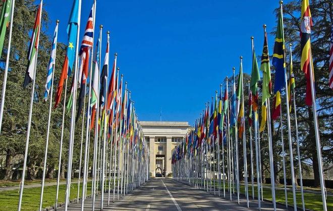 91 小 +马 拉 大 车