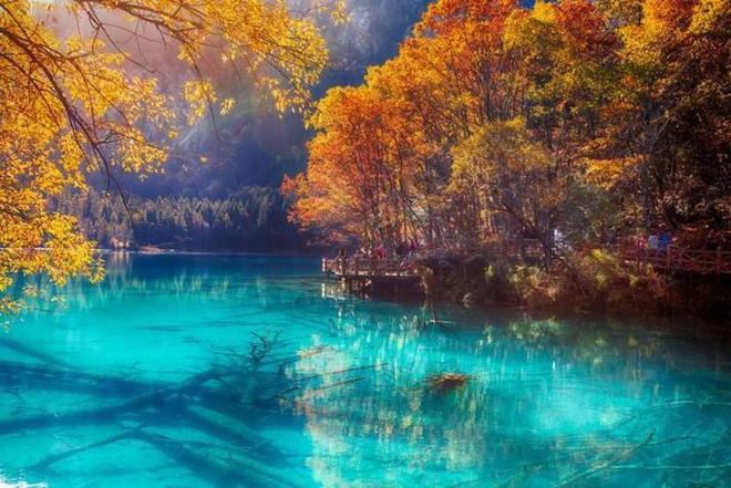 国产毛片久久久久久久精品 国产技术、毛片以前投毛片