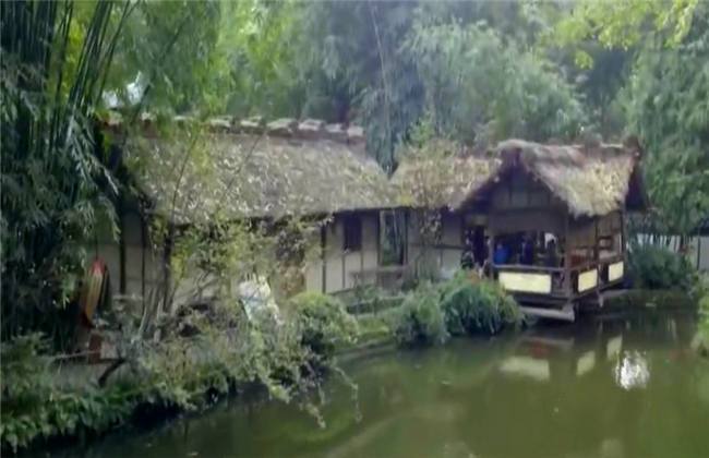 人妻尤物视频 视频如果你有其他问题